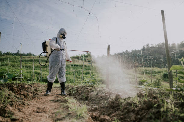 Best Mosquito Control Services  in Crane, MO