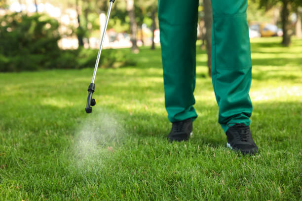 Best Commercial Pest Control Services  in Crane, MO