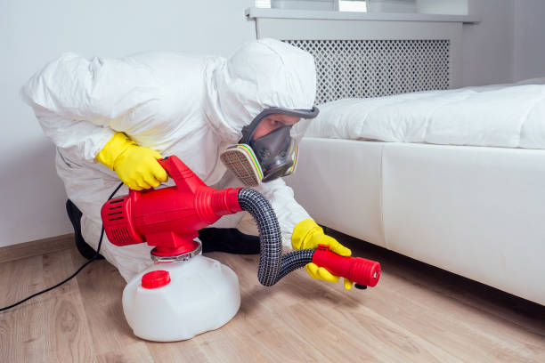 Professional Pest Control in Crane, MO