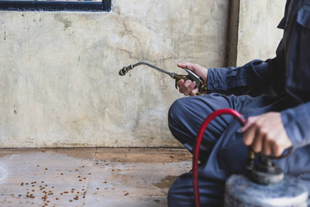 Best Residential Pest Control  in Crane, MO