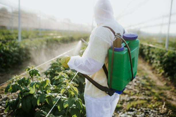 Best Local Pest Control Services  in Crane, MO